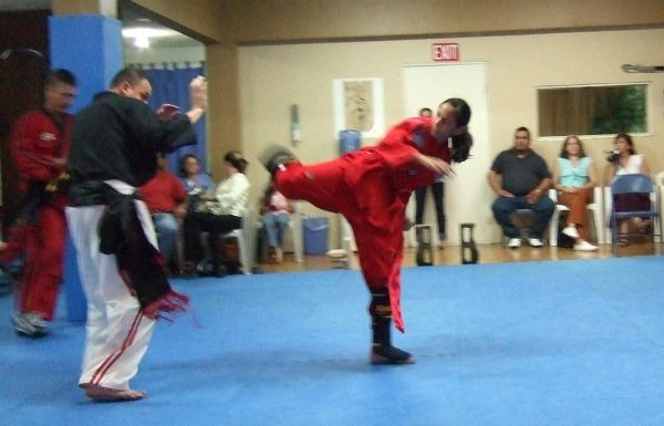 FMS Combat Sparring